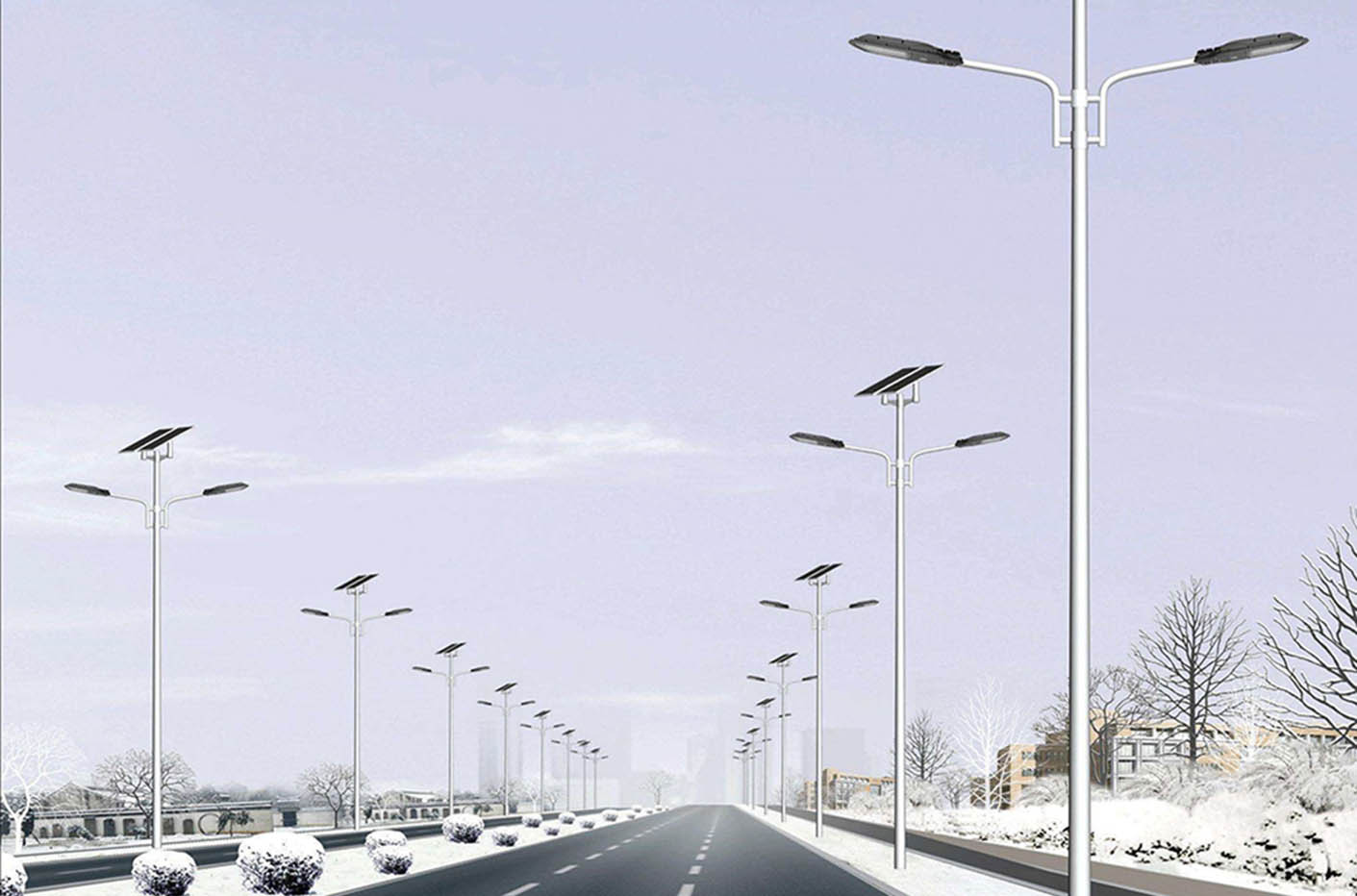 Solar Street Light